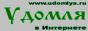 Удомельский городской сервер